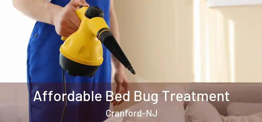 Affordable Bed Bug Treatment Cranford-NJ