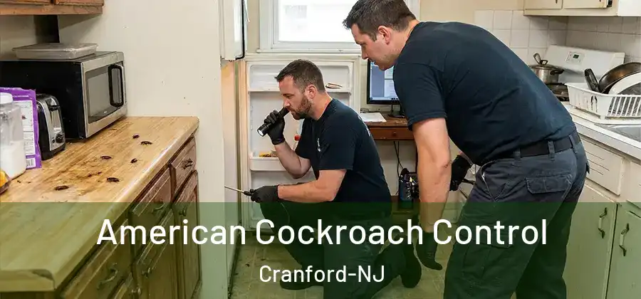 American Cockroach Control Cranford-NJ