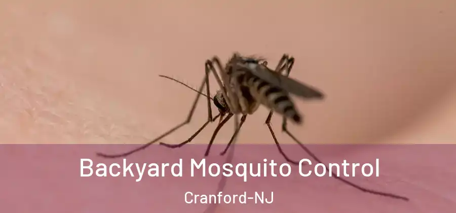 Backyard Mosquito Control Cranford-NJ
