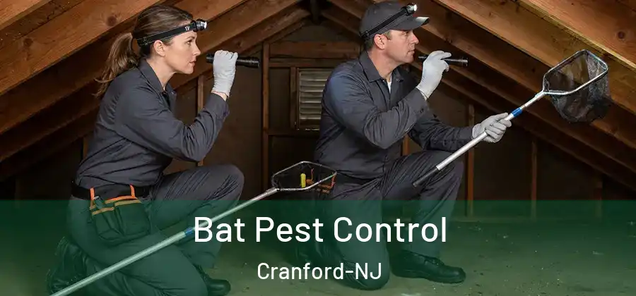 Bat Pest Control Cranford-NJ