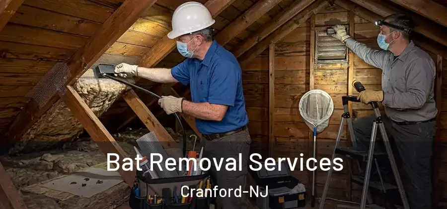 Bat Removal Services Cranford-NJ