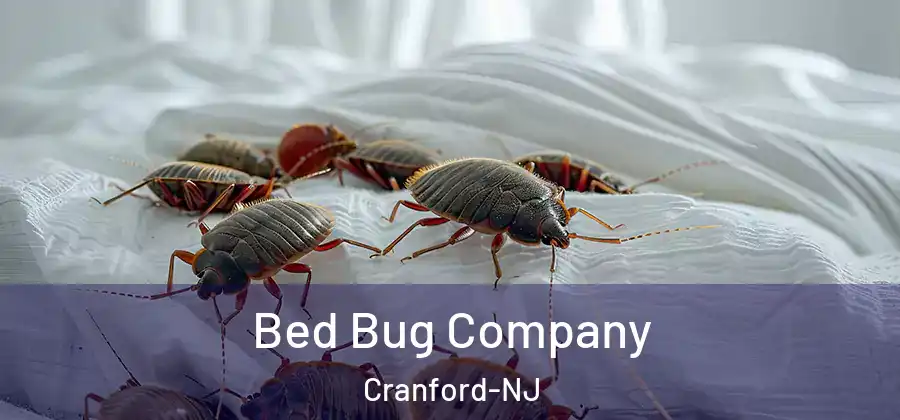 Bed Bug Company Cranford-NJ