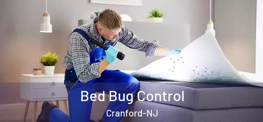 Bed Bug Control Cranford-NJ