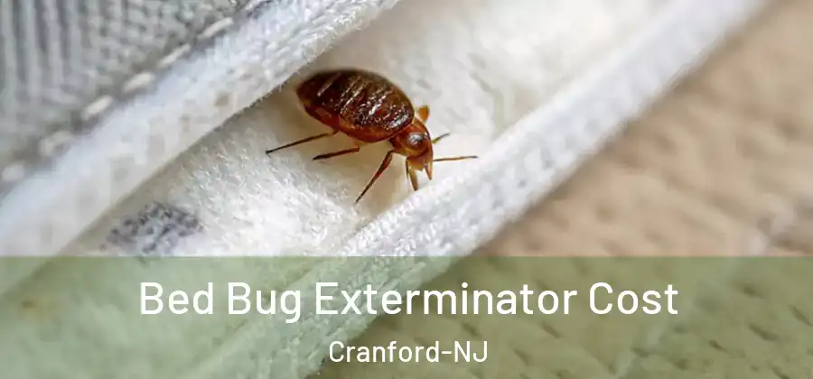 Bed Bug Exterminator Cost Cranford-NJ