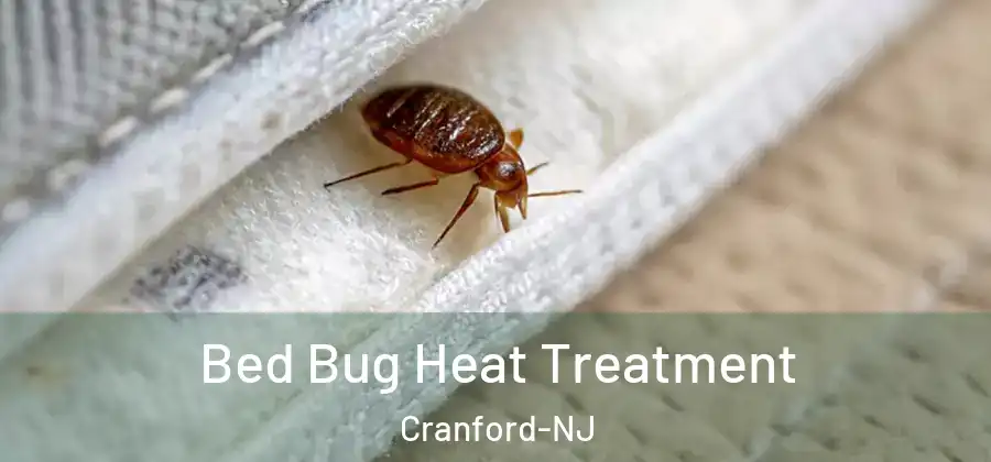  Bed Bug Heat Treatment Cranford-NJ