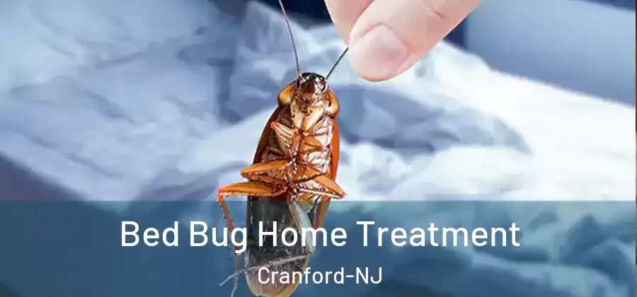  Bed Bug Home Treatment Cranford-NJ
