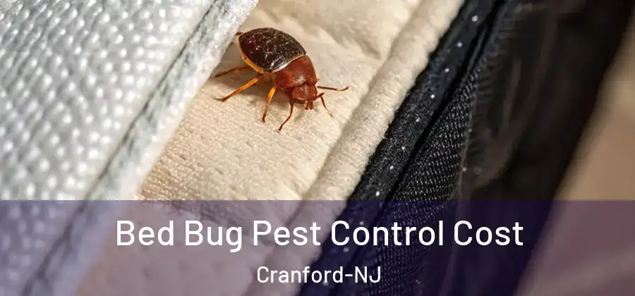 Bed Bug Pest Control Cost Cranford-NJ