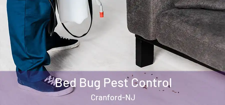  Bed Bug Pest Control Cranford-NJ