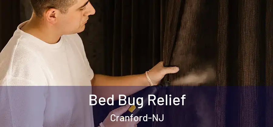 Bed Bug Relief Cranford-NJ