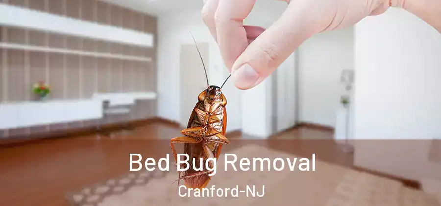  Bed Bug Removal Cranford-NJ