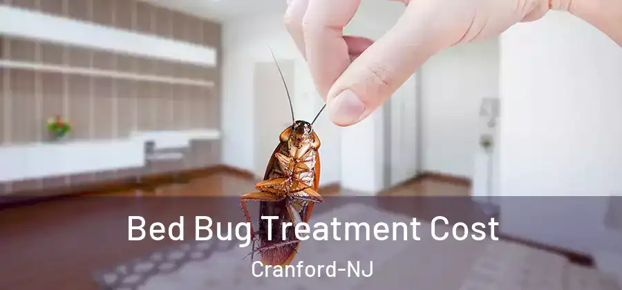 Bed Bug Treatment Cost Cranford-NJ
