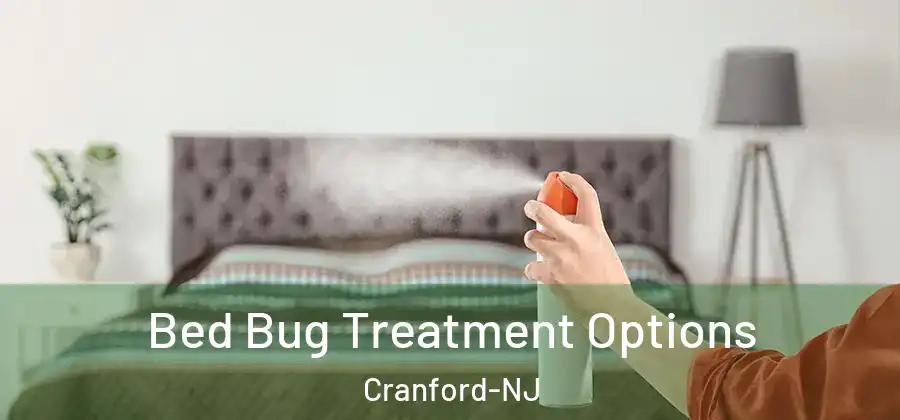 Bed Bug Treatment Options Cranford-NJ