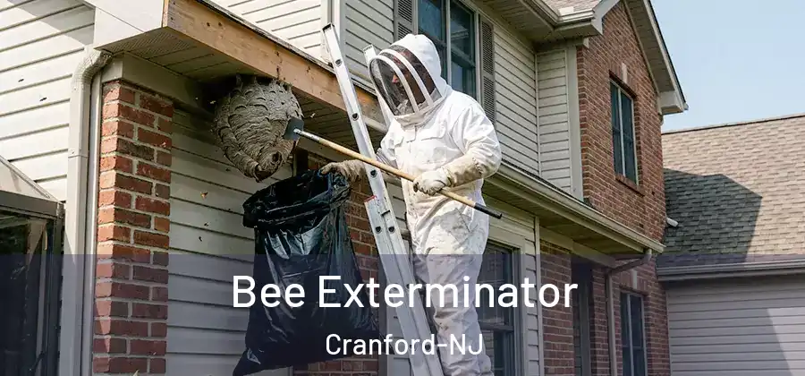 Bee Exterminator Cranford-NJ