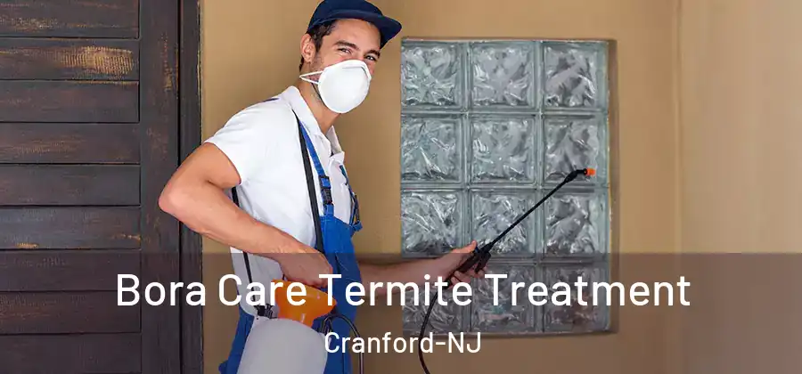 Bora Care Termite Treatment Cranford-NJ