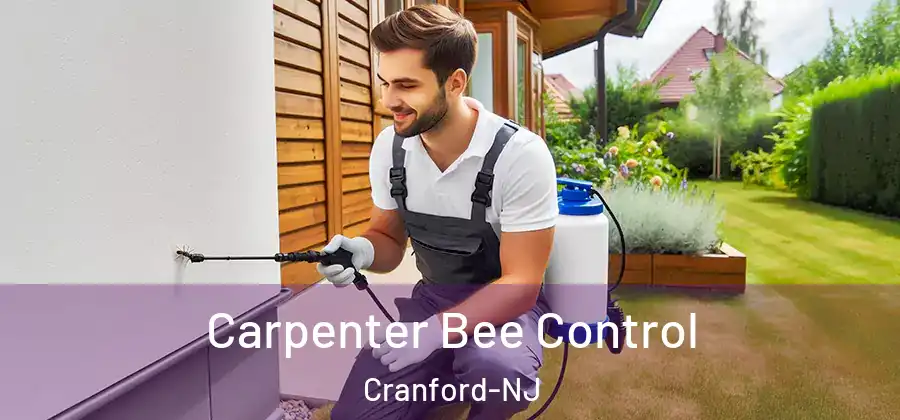 Carpenter Bee Control Cranford-NJ