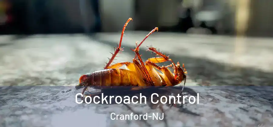 Cockroach Control Cranford-NJ