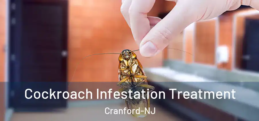 Cockroach Infestation Treatment Cranford-NJ