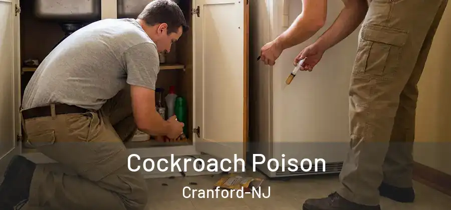 Cockroach Poison Cranford-NJ
