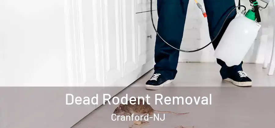 Dead Rodent Removal Cranford-NJ