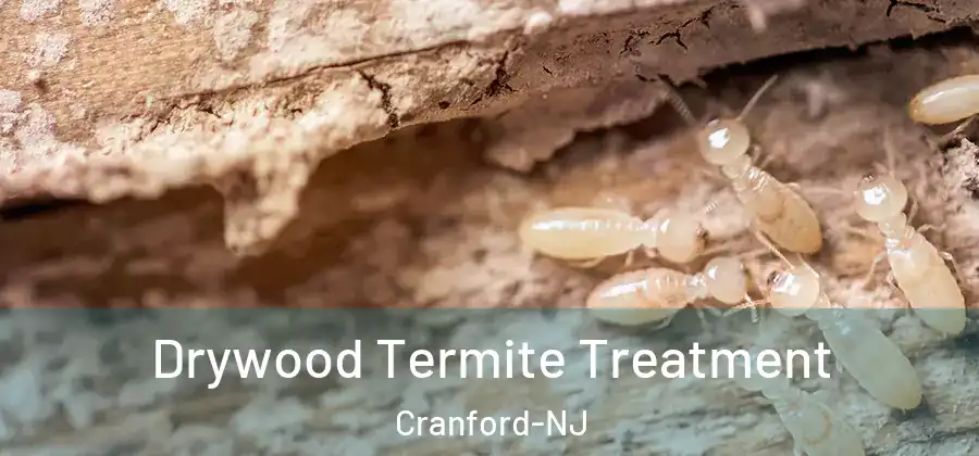 Drywood Termite Treatment Cranford-NJ