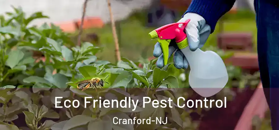 Eco Friendly Pest Control Cranford-NJ