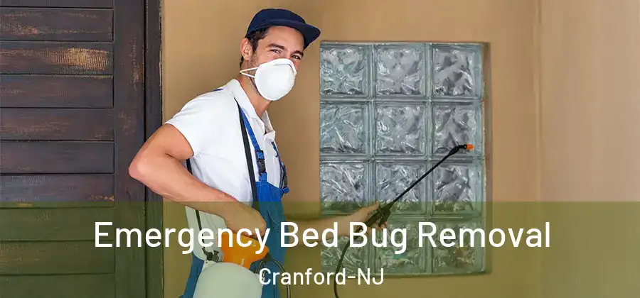 Emergency Bed Bug Removal Cranford-NJ