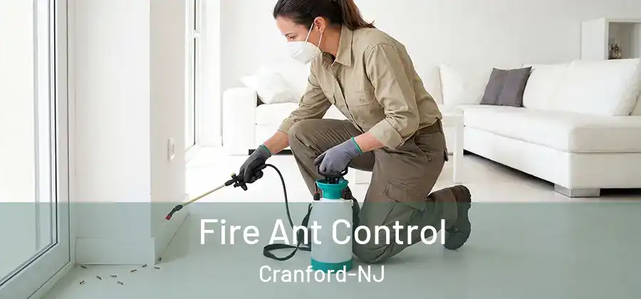  Fire Ant Control Cranford-NJ