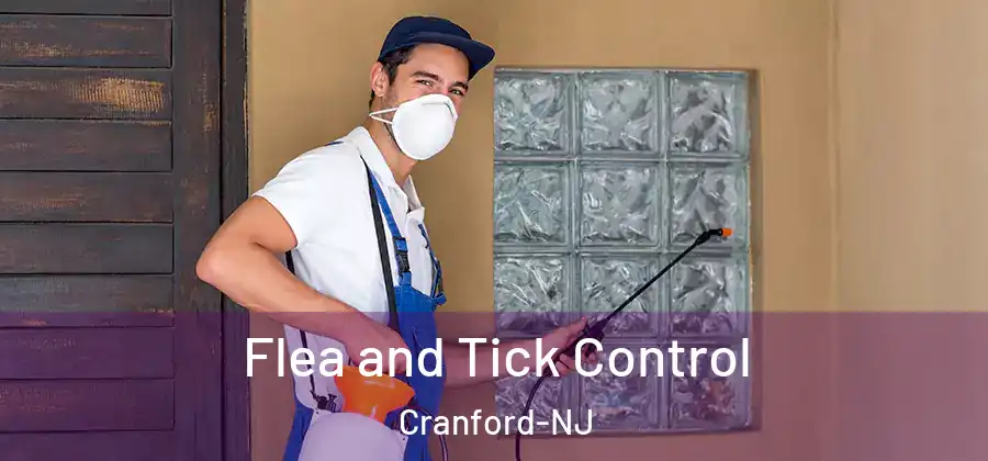  Flea and Tick Control Cranford-NJ