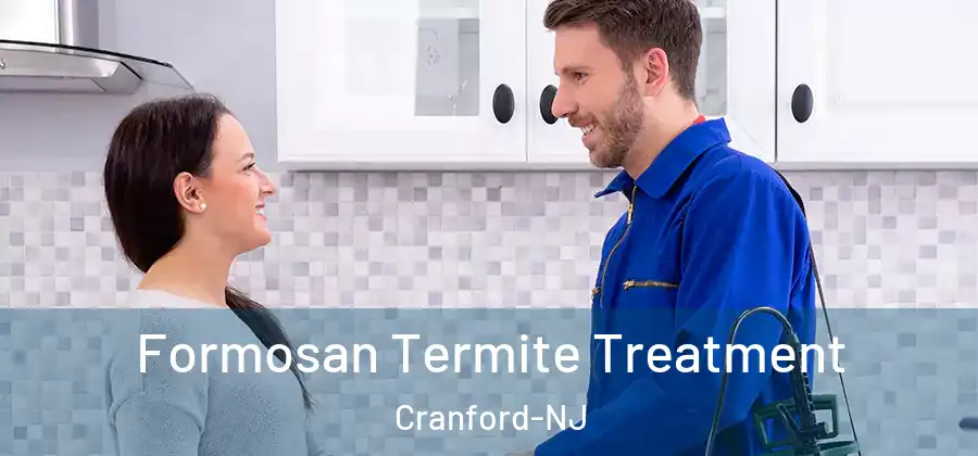 Formosan Termite Treatment Cranford-NJ