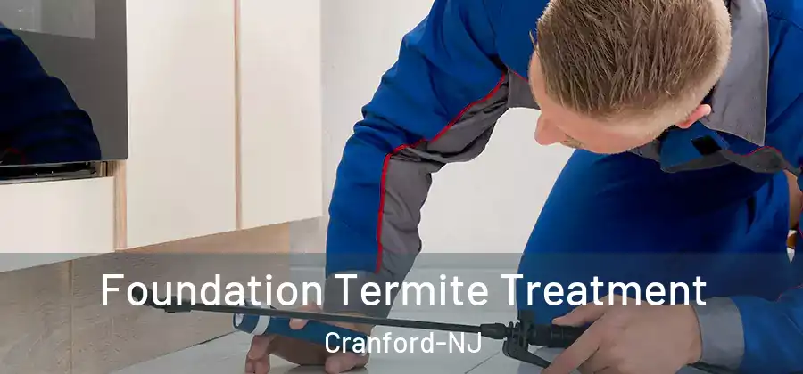  Foundation Termite Treatment Cranford-NJ