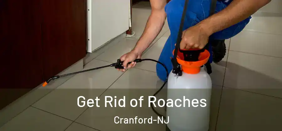  Get Rid of Roaches Cranford-NJ