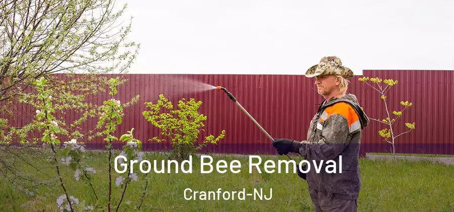  Ground Bee Removal Cranford-NJ