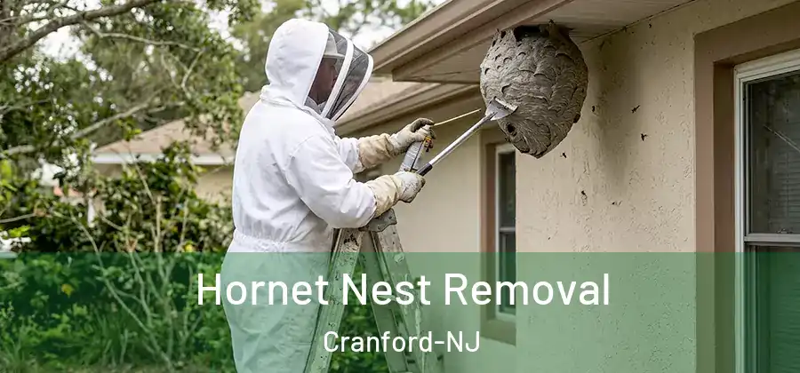 Hornet Nest Removal Cranford-NJ