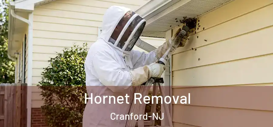  Hornet Removal Cranford-NJ