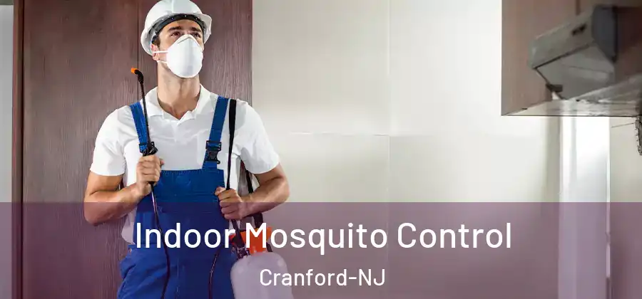  Indoor Mosquito Control Cranford-NJ