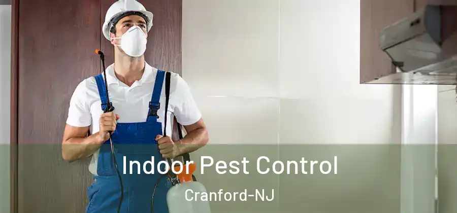 Indoor Pest Control Cranford-NJ