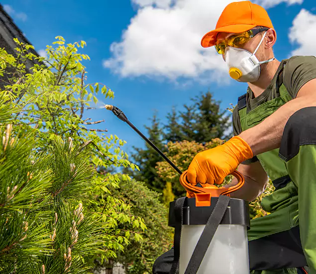 Your Best Bug Spray for Home Team in Cranford, NJ