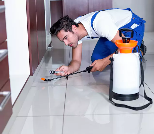 Trusted Rat Control Services Specialists in Cranford, NJ