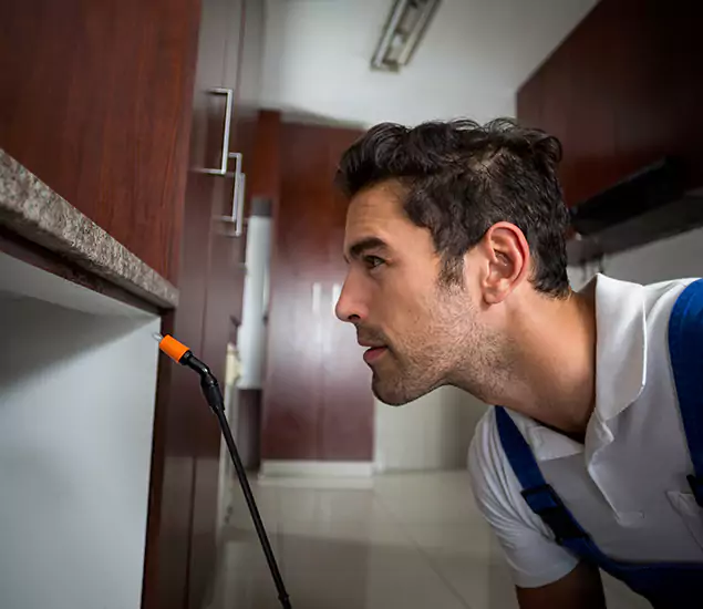 Termite Inspection Cost Experts You Can Trust in Cranford, NJ