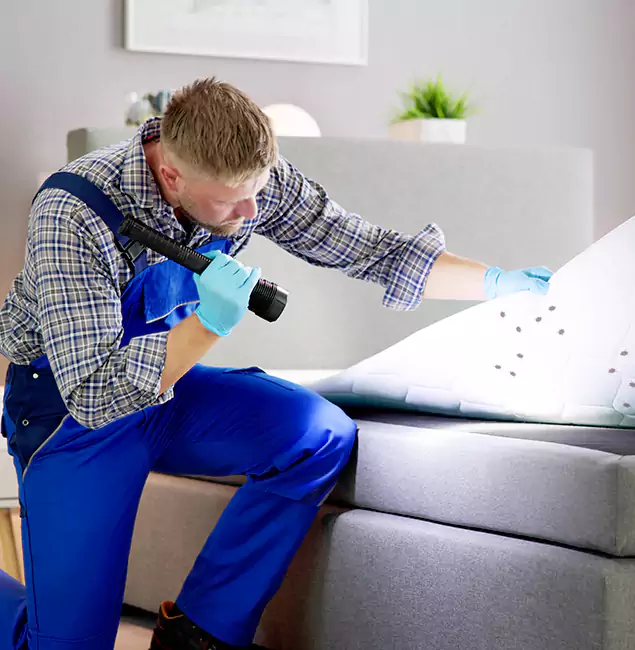 Why Choose Cranford Pest Control Pro For Bed Bug Heat Treatment in Cranford, NJ?