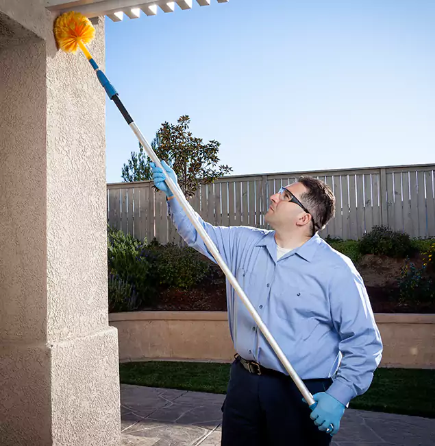 Why Choose Cranford Pest Control Pro for Foundation Termite Treatment in Cranford, NJ?