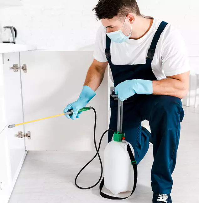 Why Cranford, NJ Homeowners Trust Us for German Roach Control?