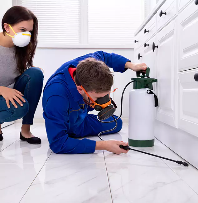 Why Cranford, NJ Homeowners Trust Cranford Pest Control Pro for Roach Control?