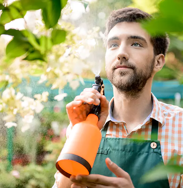 Why Cranford Homeowners Call Cranford Pest Control Pro for Mosquitoes in House?