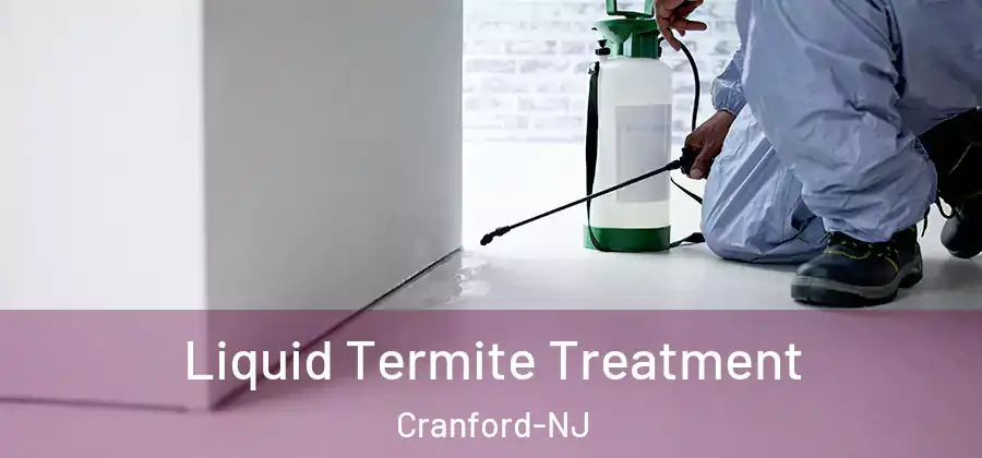 Liquid Termite Treatment Cranford-NJ