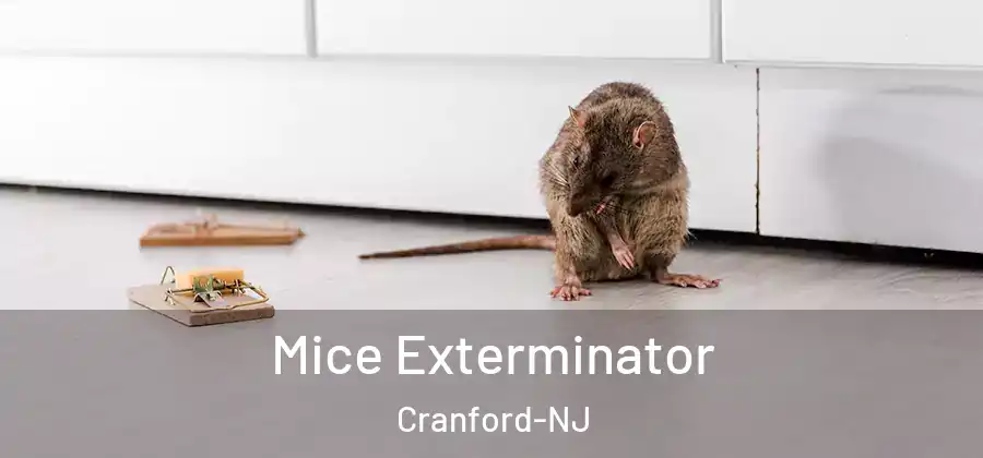  Mice Exterminator Cranford-NJ