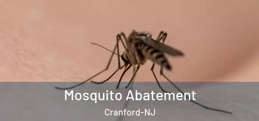 Mosquito Abatement Cranford-NJ