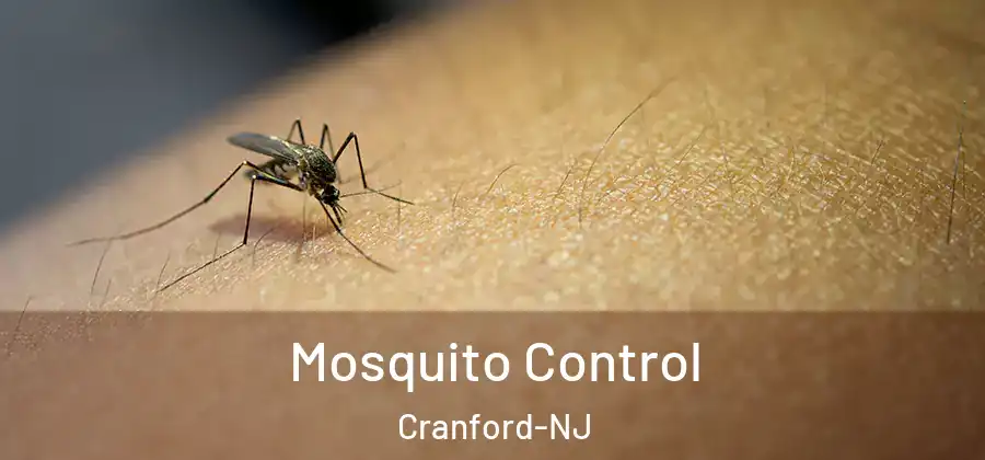 Mosquito Control Cranford-NJ