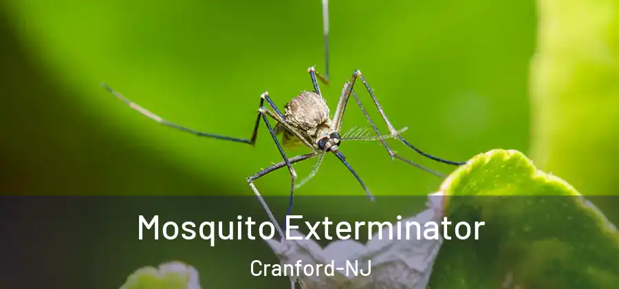  Mosquito Exterminator Cranford-NJ
