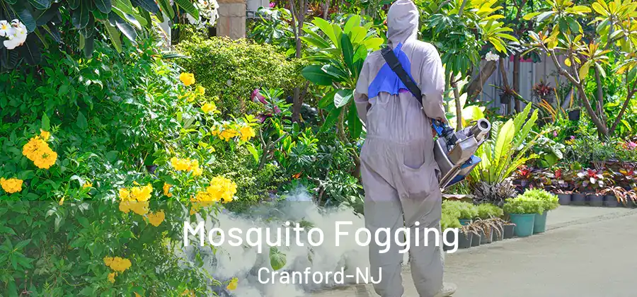 Mosquito Fogging Cranford-NJ